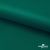 Ткань подкладочная Таффета, 19-5420, 53 г/м2, антистатик, шир. 150 см, вечнозеленый - купить в Пскове. Цена 57.16 руб.