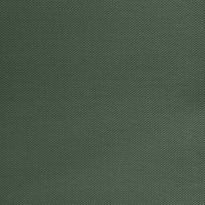 Оксфорд (Oxford) 240D 19-5917, PU/WR, 115 гр/м2, шир.150см, цвет т.зелёный - купить в Пскове. Цена 152.54 руб.