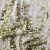 Трикотажное полотно, Сетка с пайетками, шир.130 см, #315, цв.-белый/золото - купить в Пскове. Цена 693.39 руб.