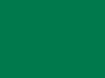 85 см № 258 яр. зеленый спираль (G) сорт-2 - купить в Пскове. Цена: 16.97 руб.