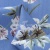 Плательная ткань "Фламенко" 12.1, 80 гр/м2, шир.150 см, принт растительный - купить в Пскове. Цена 241.49 руб.