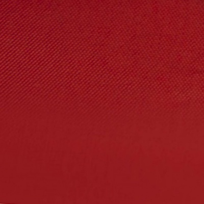 Ткань подкладочная Таффета 19-1656, антист., 53 гр/м2, шир.150см, цвет вишня - купить в Пскове. Цена 62.37 руб.