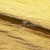 Текстильный материал "Диско"#1805 с покрытием РЕТ, 40гр/м2, 100% полиэстер, цв.5-золото - купить в Пскове. Цена 412.36 руб.