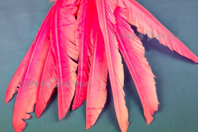 Декоративный Пучок из перьев, перо 25см/розовый - купить в Пскове. Цена: 14.40 руб.