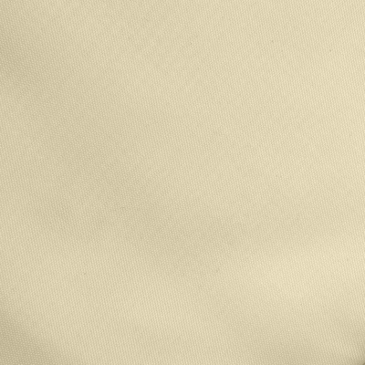 Ткань подкладочная Таффета 14-1014, антист., 53 гр/м2, шир.150см, цвет бежевый - купить в Пскове. Цена 62.37 руб.