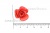 Украшение "Розы малые №1" 20мм - купить в Пскове. Цена: 32.49 руб.