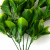Трава искусственная -1, шт (эвкалипт лист 32 см/8 см)				 - купить в Пскове. Цена: 169.93 руб.