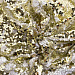 Трикотажное полотно, Сетка с пайетками, шир.130 см, #315, цв.-белый/золото