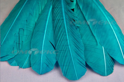 Декоративный Пучок из перьев, перо 24см/голубой - купить в Пскове. Цена: 12.19 руб.