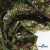Ткань костюмная «Микровельвет велюровый принт», 220 г/м2, 97% полиэстр, 3% спандекс, ш. 150См Цв  #9 - купить в Пскове. Цена 439.76 руб.