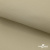 Ткань подкладочная TWILL 230T 14-1108, беж светлый 100% полиэстер,66 г/м2, шир.150 cм - купить в Пскове. Цена 90.59 руб.