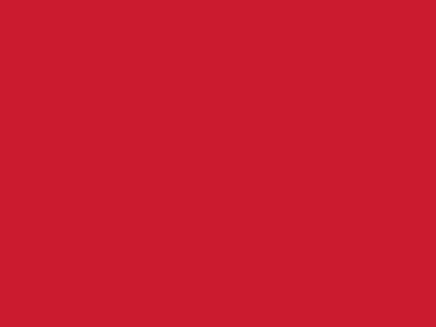 Сетка подкладочная красный, 60г/м2 (10 м/кг) - купить в Пскове. Цена 885.73 руб.