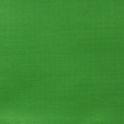 Ткань подкладочная Таффета 17-6153, 48 гр/м2, шир.150см, цвет трава - купить в Пскове. Цена 54.64 руб.
