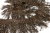 008-коричневый, Бахрома арт.001 шир.10см (упак.12+/-0,5м) - купить в Пскове. Цена: 1 017.33 руб.