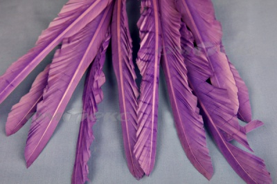 Декоративный Пучок из перьев, перо 25см/фиолетовый - купить в Пскове. Цена: 12.19 руб.