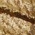 Сетка с пайетками №3, 188 гр/м2, шир.140см, цвет золотой - купить в Пскове. Цена 458.76 руб.