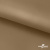 Ткань подкладочная Таффета 17-1327, антист., 54 гр/м2, шир.150см, цвет св.коричневый - купить в Пскове. Цена 65.53 руб.